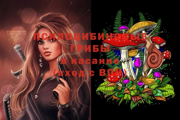 PSILOCYBIN Куйбышев