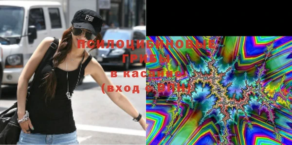 PSILOCYBIN Куйбышев